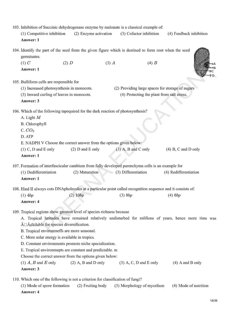 NEET Answer Key Pages