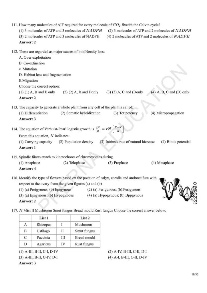 NEET Answer Key Pages