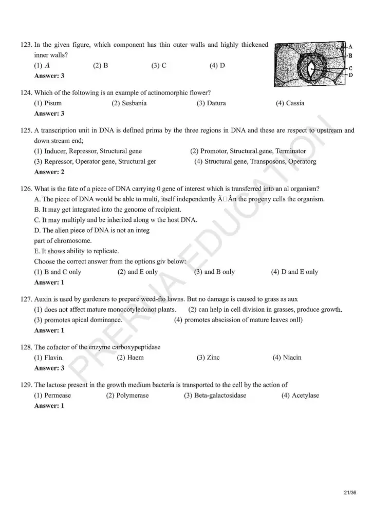 NEET Answer Key Pages