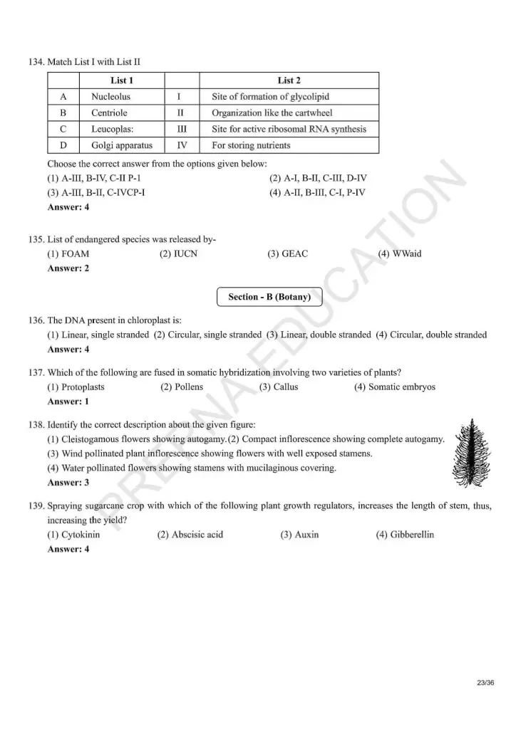 NEET Answer Key Pages