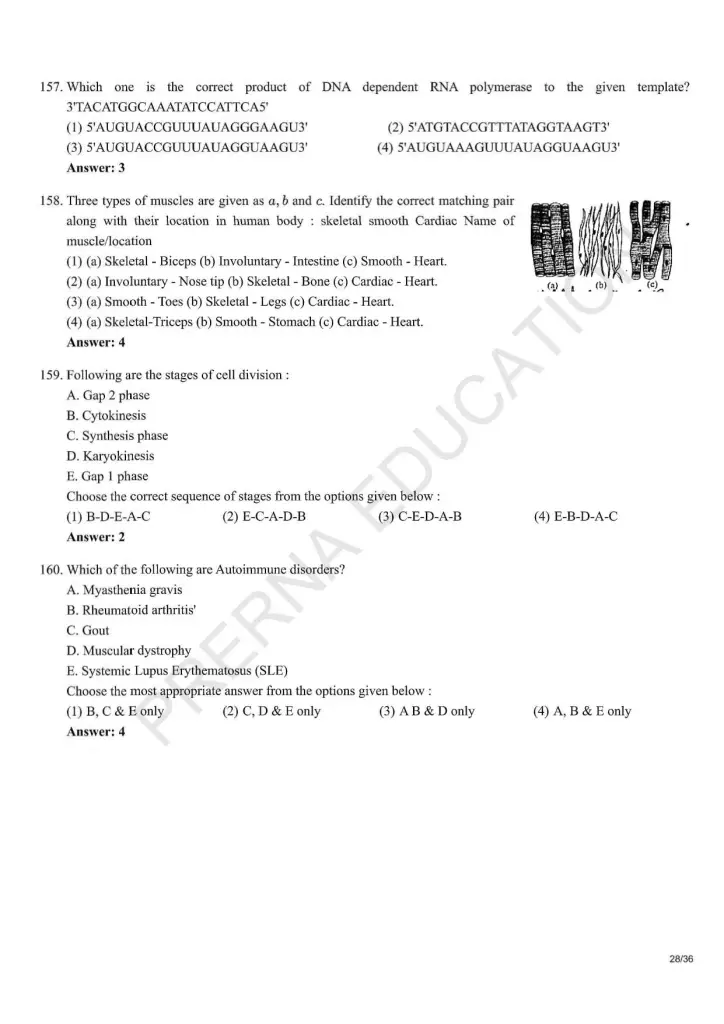 NEET Answer Key Pages