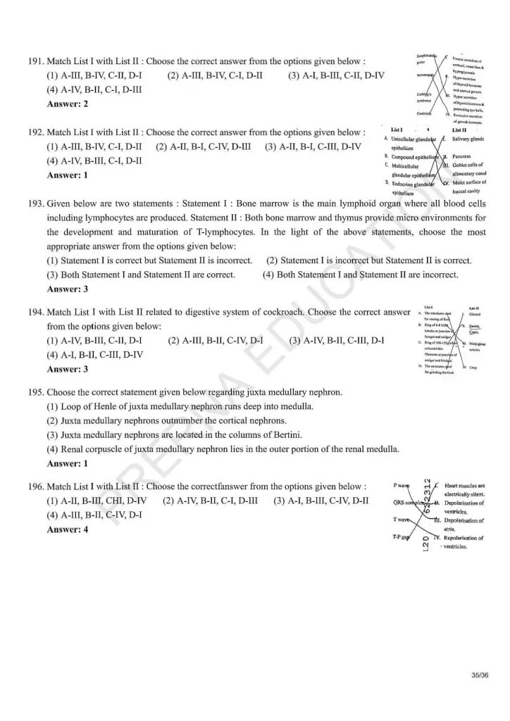 NEET Answer Key Pages