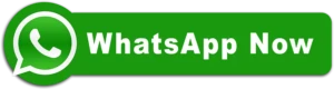 whats-app-now-button